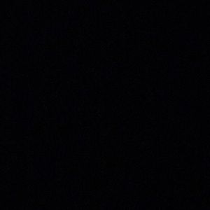 Meet your Posher, Brady